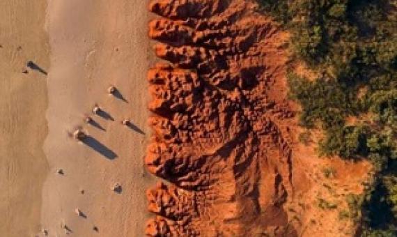 Renewable energy can save the natural world, but if we're not careful, it will also hurt it. credit - Shutterstock 