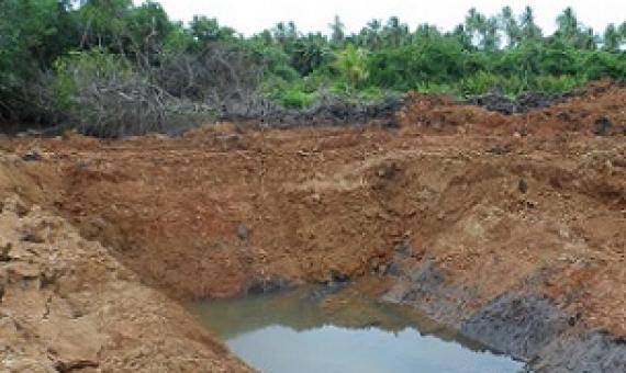 mangrove clearance, Rewa River, Fiji. Credit - V. Jungblut