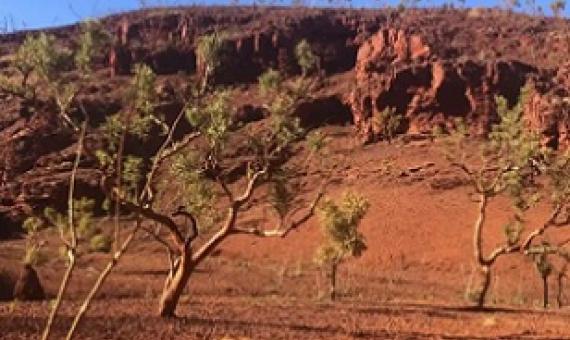 Weelumurra valley near site S08-032, a significant place for men’s ceremonies. Photograph: Wintawari Guruma Aboriginal Corporation