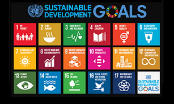 sustainable development goals