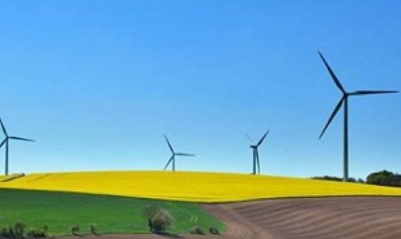 Latest U.N. sustainability goals pose more harm than good for environment, scientists warn. Latest U.N. sustainability goals pose more harm than good for environment, scientists warn. credit - CC0 Public Domain