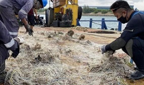 Volunteers worked with the Maritime and Port Authority of Singapore to retrieve a drift net on May 21 that likely caused the death of an endangered hawksbill turtle. PHOTO: OUR SINGAPORE REEFS