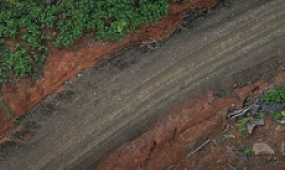 Makira suspends loggers’ licences