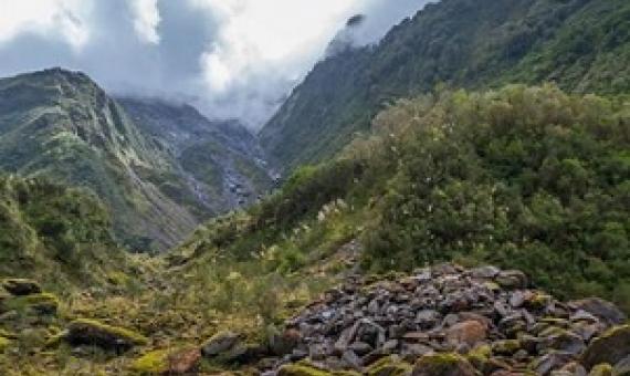 significant natural areas, New Zealand. Credit - 123RF