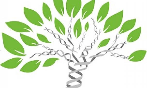 Credit: Pixabay/CC0 Public Domain