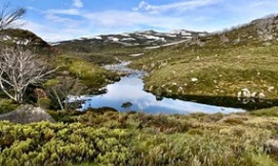 Snowy 2.0 threatens to pollute pristine Snowy Mountains rivers. Schopier/Wikimedia