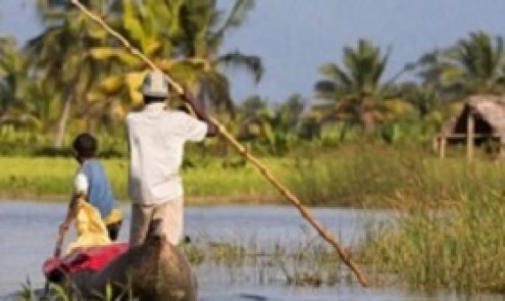 The State of the Tropics Matters Wherever You Live. Credit - AdobeStock