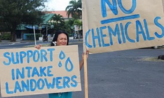 Government’s ecological report challenged. Credit - https://www.cookislandsnews.com/