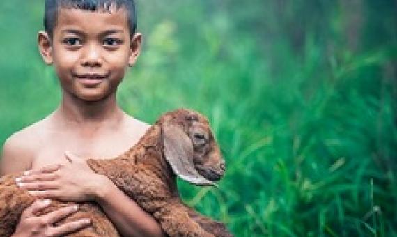 Opinion: Sustainable development must account for pandemic risk