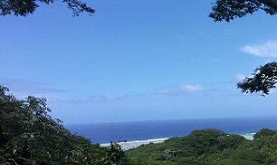 Takitumu Conservation Area, Cook Islands. Credit - NES