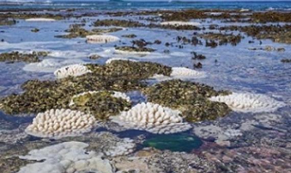 Titikaveka lagoon, Cook Islands. Credit - MINISTRY OF MARINE RESOURCES/CHARLEE MCLEAN