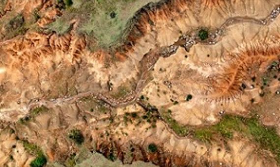 Rock becomes visible as topsoil is eroded away.Credit: Martin Harvey/Getty
