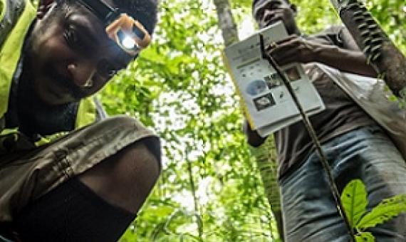 Jason Paliau is a lecturer at the Papua New Guinea University of Resources and Environment in Rabaul. Credit: UN-REDD Programme