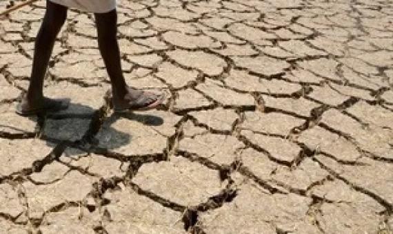 Research was centered on latitudes found between 20 degrees north, a line that cuts through Mexico, Libya and India, to 20 degrees south. Photograph: Noah Seelam/AFP/Getty Images