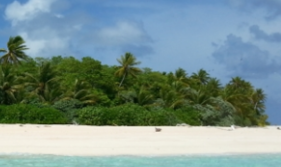 Funafuti Conservation Area, Tuvalu. Credit - V. Jungblut