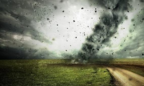 'Overwhelming' international support for more government action on environment, message-testing experiment finds. Credit - Credit: Pixabay/CC0 Public Domain 