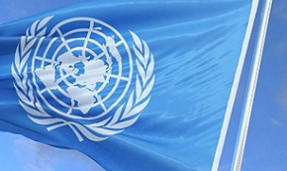 The United Nations flag Photo: CFP