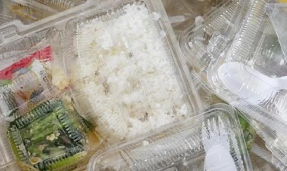 Fewer than 15% of recycling facilities surveyed could process plastic clamshells, like these. Photograph: Prakaymas vitchitchalao/Alamy