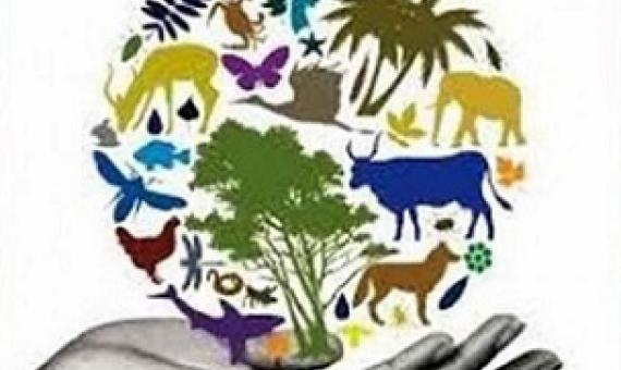 world biodiversity day logo