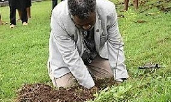 Minister of Climate Change, Bruno Tau Leingkone planting a tree. Photo: Department of Environment