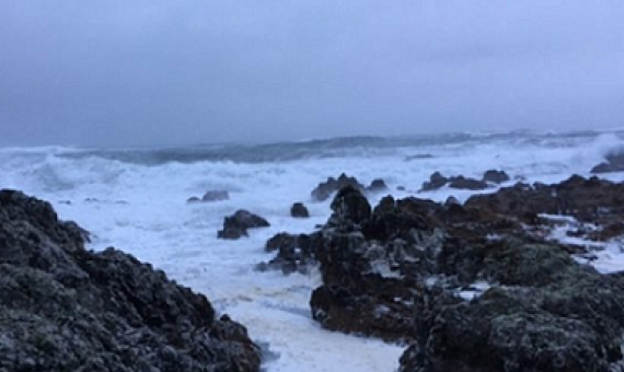 Houghton Bay in Wellington. Photo: RNZ / Caitlin Cherry