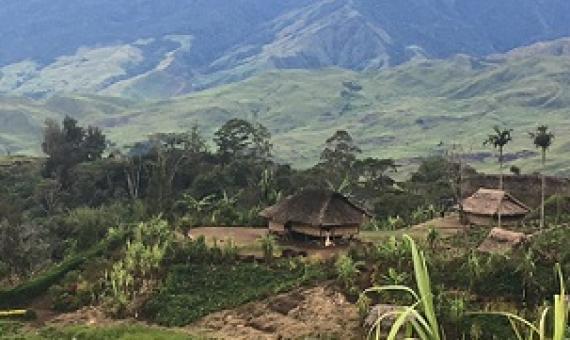 YUS Conservation Area, Papua New Guinea. Credit - Paul van Nimwegen