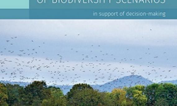 Handbook cover. credit - http://www.biodiversa.org/1816