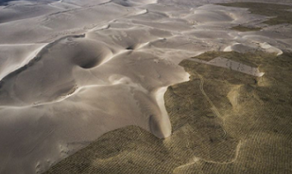 China is planting trees to stop deserts expanding.Credit: Wang He/Getty