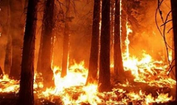 Climate scientists increasingly ignore ecological role of Indigenous peoples. Credit: CC0 Public Domain