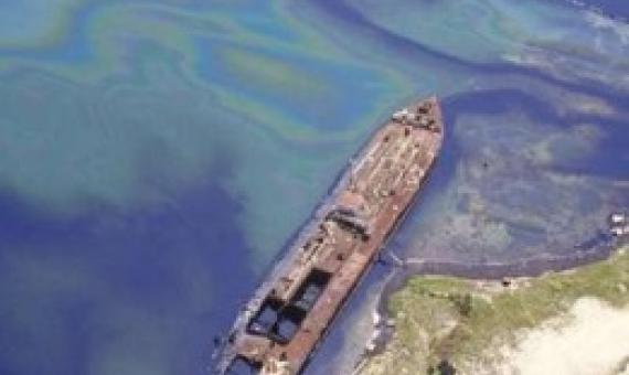 In 1986, a refinery accident heavily contaminated the near-shore habitats of Bahia Las Minas in the central Caribbean coast of Panama. Credit: Smithsonian Archives