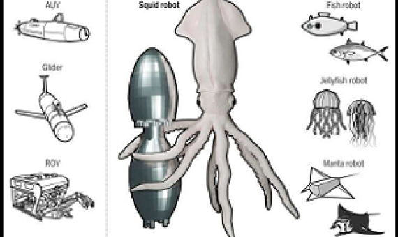 A menagerie of bioinspired robots for ocean monitoring. Credit: Bujard et al., Sci. Robot. 6, eabd2971 (2021)