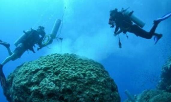 Samples of past bleaching events in the Red Sea suggest nutrients worsen the already devastating effects of climate change on corals. Credit: Jess Bouwmeester
