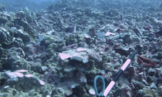 Owners of the yacht will need to fork up $100,000. (Source: DLNR)