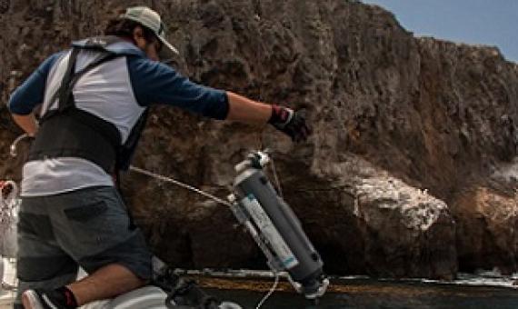 A UCLA researcher prepares to lower a specialized bottle into the ocean off of the coast of Santa Cruz Island to capture samples of eDNA. Credit - Zachary Gold