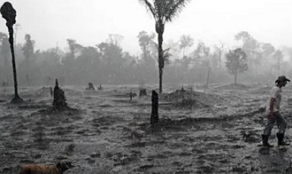 A farmer and his dog in a burnt region of the Amazon rainforest in Rondônia state, Brazil. Photograph: Carl de Souza/AFP/Getty