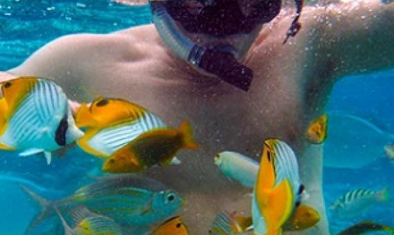 At many snorkeling and diving sites around the world, including in the Cook Islands, tour operators bait the waters with bread to attract fish. Photo by Sergi Reboredo / Alamy Stock Photo