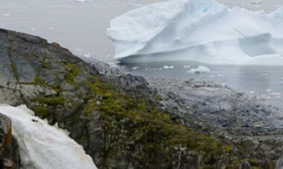 Humans are encroaching on Antarctica's last wild places. Credit: SL Chown, CC BY-NC