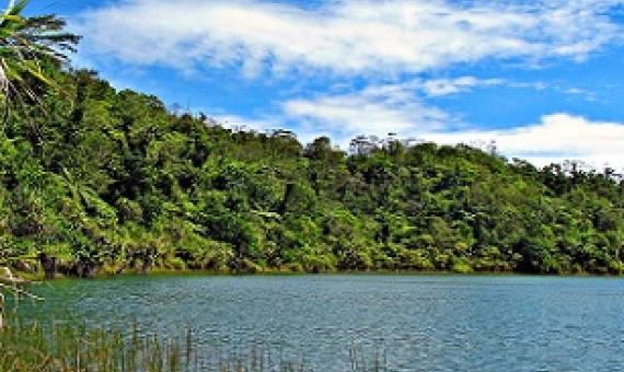 Lake Lanotoo National Park, Samoa. Credit - V. Jungblut