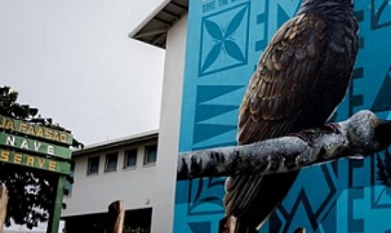 manumea campaign mural, NZ High Commission Building, Apia Samoa. Credit - Samoa Conservation Society
