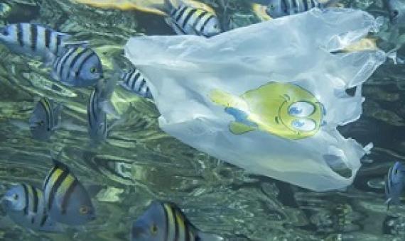 Life-cycle assessment of plastic packaging fails to account for marine pollution. Andrey Nekrasov/Barcroft Media via Getty Images