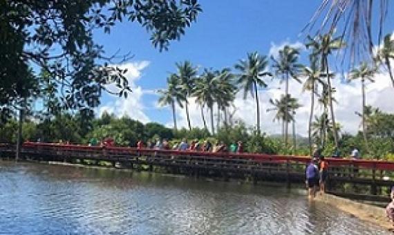 Moata'a mangroves, Samoa. Credit - V. Jungblut. SPREP