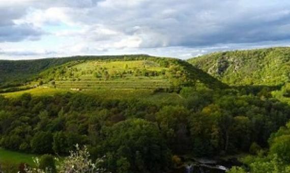 Scientists help wildlife parks mobilize against poaching. Credit - Credit: CC0 Public Domain