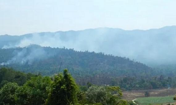 When the rainforest was burning, the first thing we learned was that it can burn,’ says Leslie Shirreffs, chair of the Wet Tropics Management Authority, of the 10-day fire in far north Queensland.