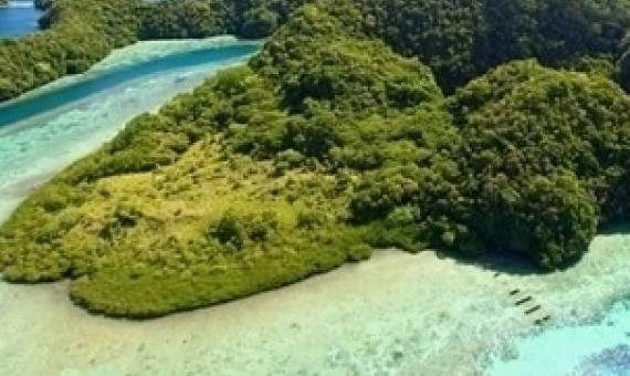 Ngerchelngael island, Palau. credit - www.islandtimes.org