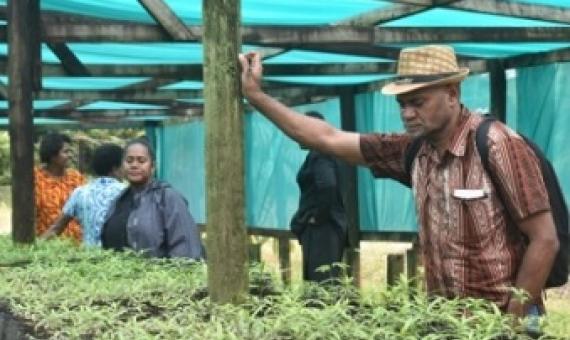 Learning Exchange Strengthens Understanding In Plant Propagation And Nursery Design And Management. Credit  - SPREP