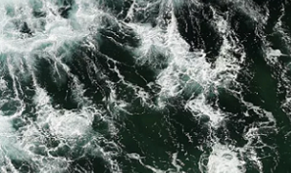 Ocean acidification and human health