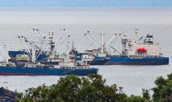 Fishing vessels waiting to tranship at Honiara. Photo: Ronald Toito’ona.