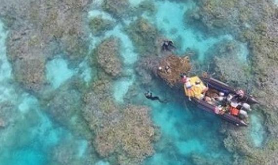 Papahānaumokuākea Research and Conservation Fund Announces $1 Million in Grants to Support Management and Conservation. Credit - NFWS