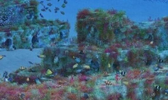 The plastic-free Reef Cubes also promote marine biodiversity. source - https://www.livekindly.co/reef-cubes-plastic-free-blocks-save-oceans/