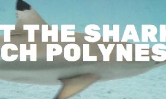 Material from the Mao Mana Foundation Photo: Mao Mana Foundation